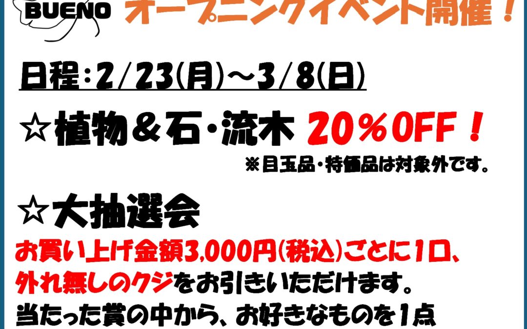 オープン記念イベントを開催します！ 2026.2.23(月)～3.8(日)